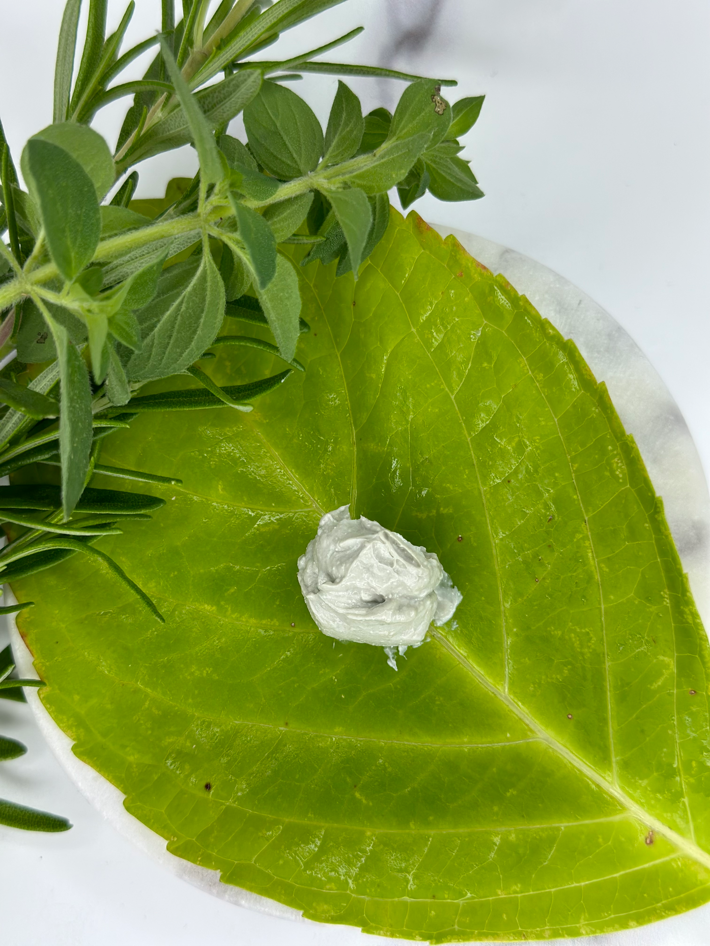 Australian Green Olive Clay Mask 50ml